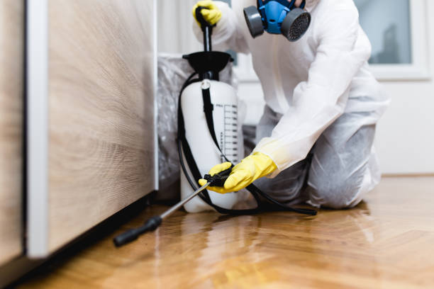 Best Exterminator Services  in Bayview, CA