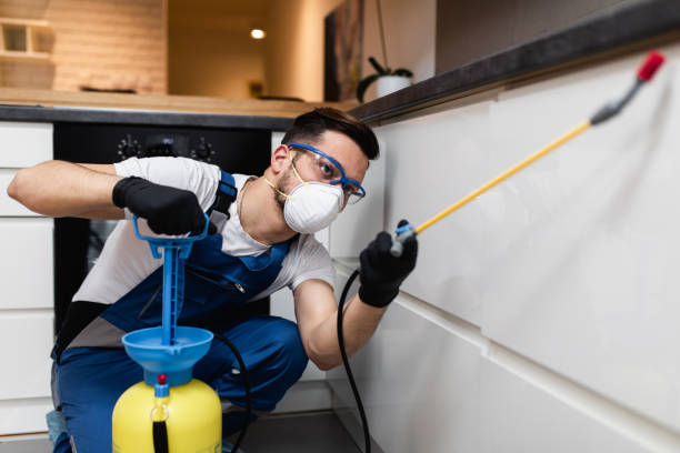 Best Cockroach Control Services  in Bayview, CA