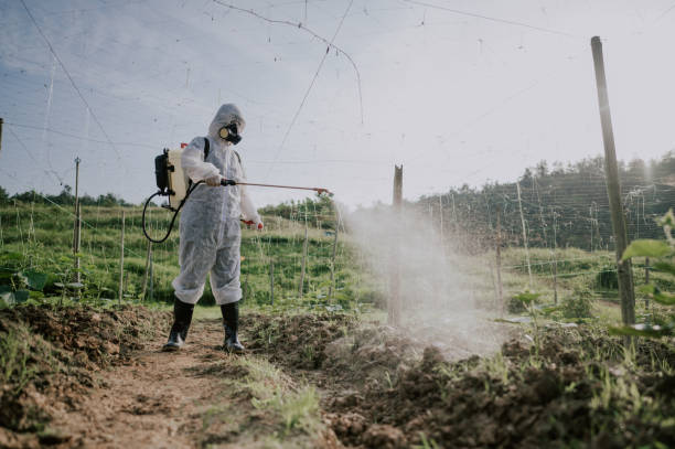 Best Ant Control Services  in Bayview, CA