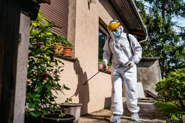 Best Pest Inspection Near Me  in Bayview, CA