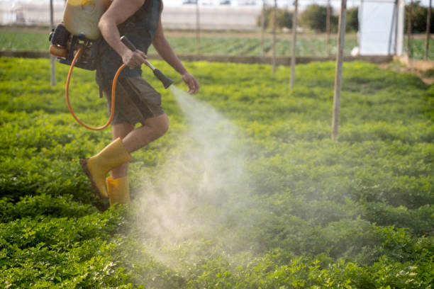 Best Pest Control Treatment  in Bayview, CA