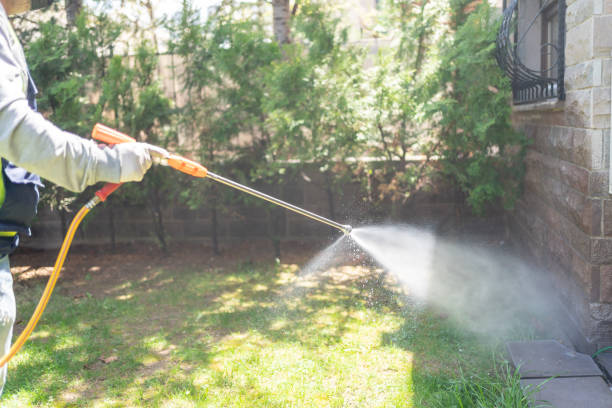 Pest Control Cost in Bayview, CA