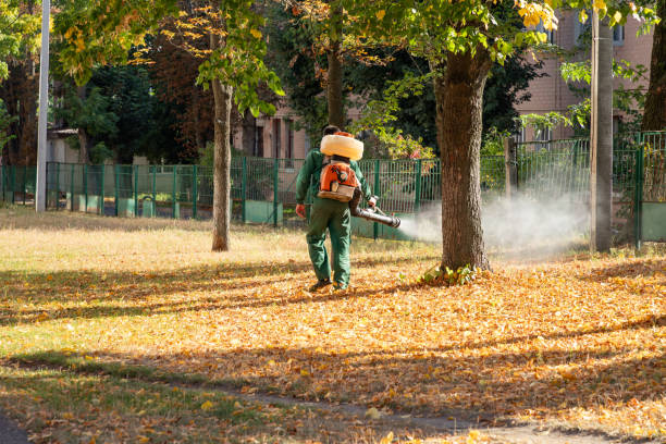 Wildlife Control Services in Bayview, CA