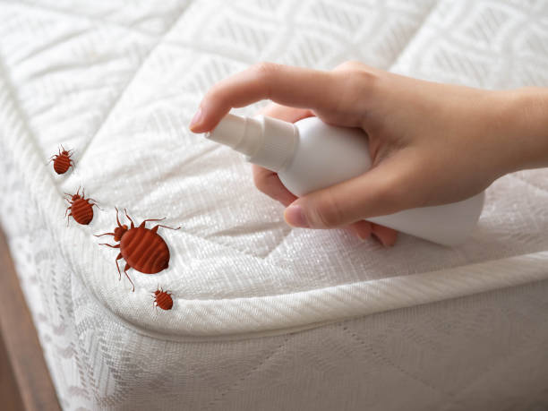 Best Emergency Pest Control  in Bayview, CA