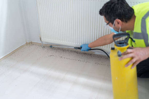 Best Pest Control Near Me  in Bayview, CA