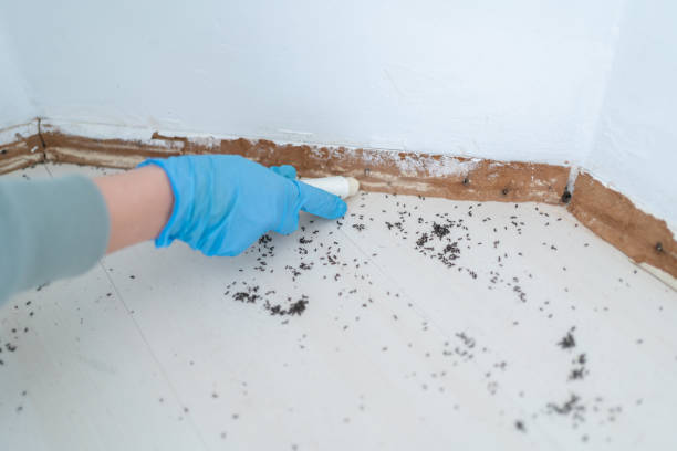 Best Best Pest Control Companies  in Bayview, CA