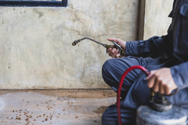 Best Pest Control Cost  in Bayview, CA