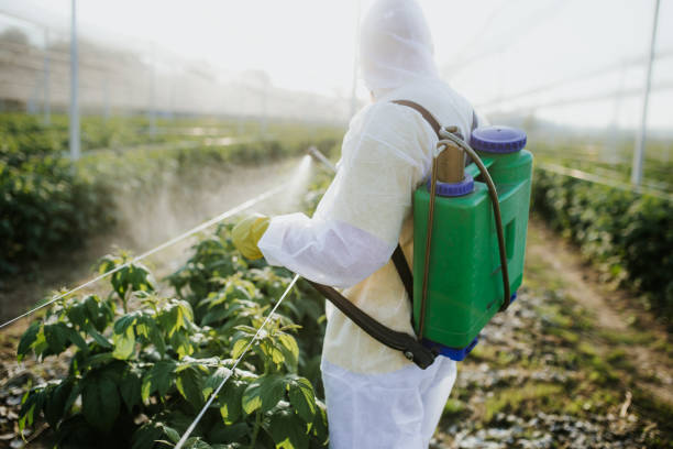 Best Pest Control for Homes  in Bayview, CA